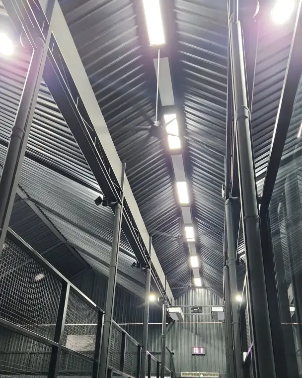 Light strips along the roof